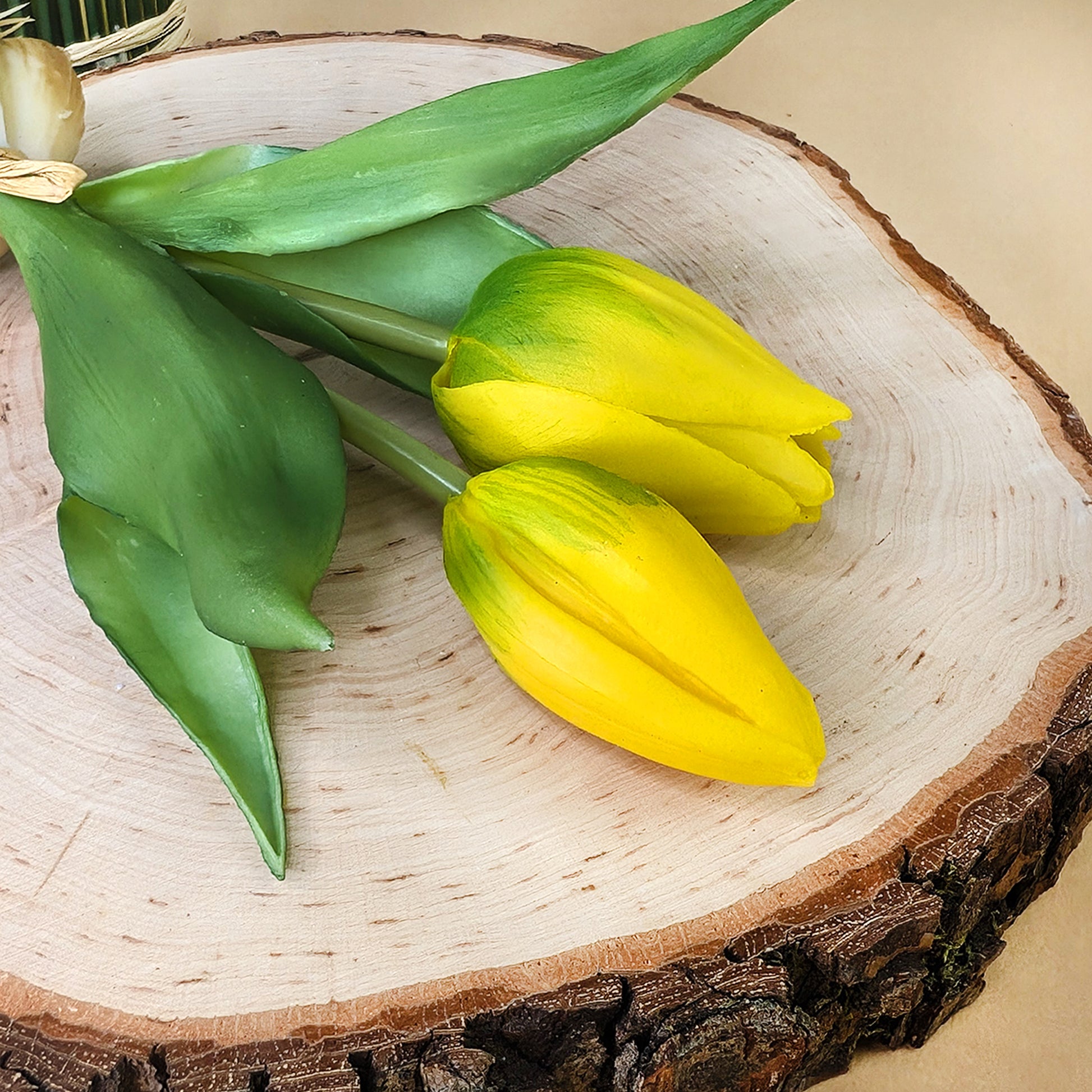 Nahaufnahme der gelben Seidenblume mit grünen Blättern und weißer Zwiebel