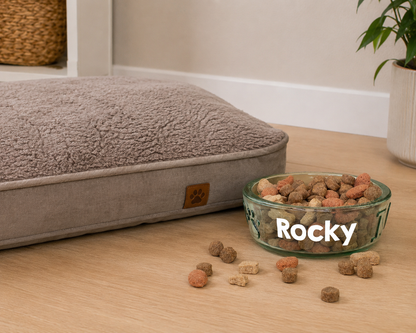 Glas Hundenapf mit Name Rocky gefüllt mit Trockenfutter neben Hundebett im Wohnbereich