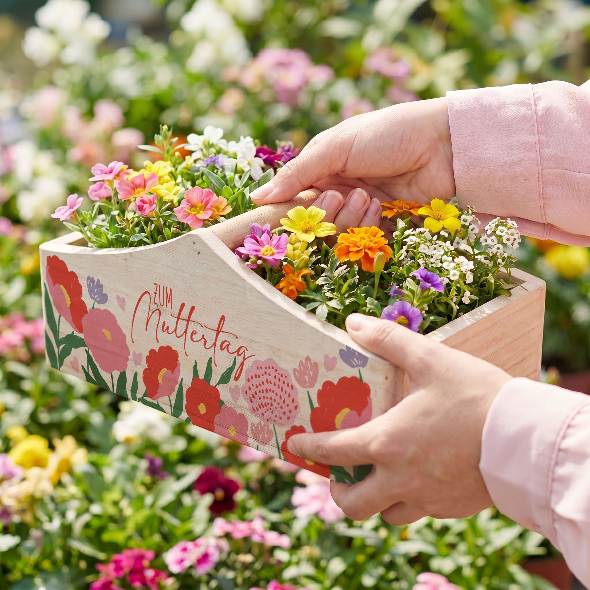 Pflanzkorb mit Frühlingsblumen wird als Geschenk überreicht zum Muttertag