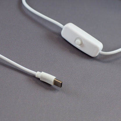 Nahaufnahme des USB-C-Kabels mit Schalter in weiß.