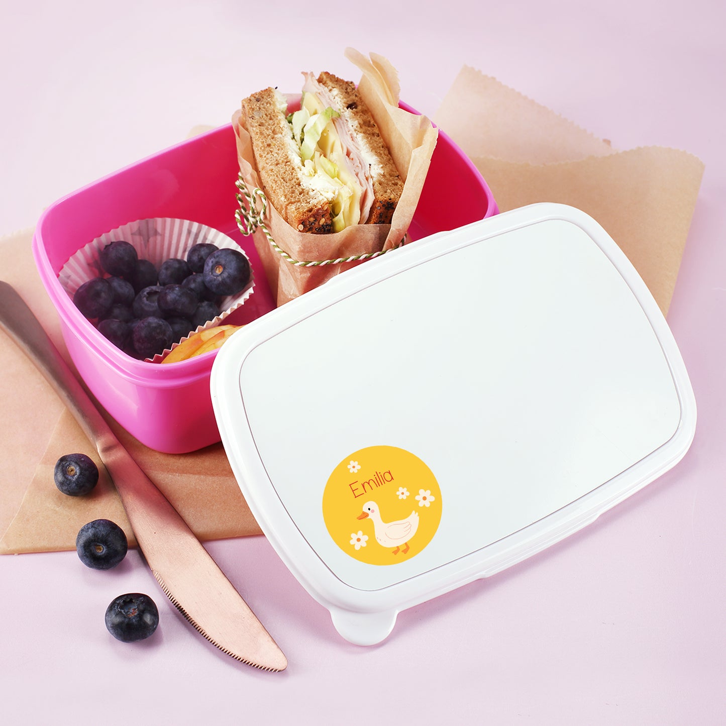 Brotdose mit rundem Ente Namensaufkleber und Name Emilia als Kindergarten Etikett