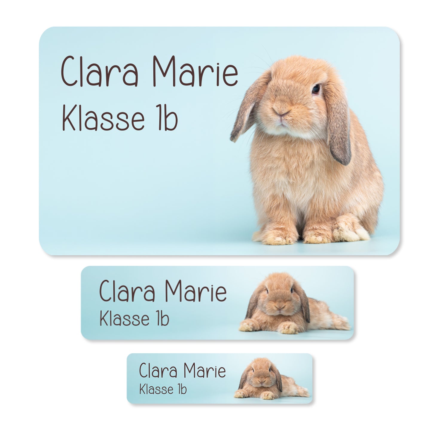 Übersicht der drei Aufklebergrößen mit Wunschtext Clara Marie Klasse 1b und braunem Kaninchen auf hellblauem Hintergrund