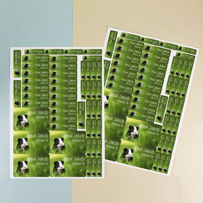 Namensaufkleber mit Meerschweinchen Motiv & Wunschtext personalisiert | Geschenk zur Einschulung