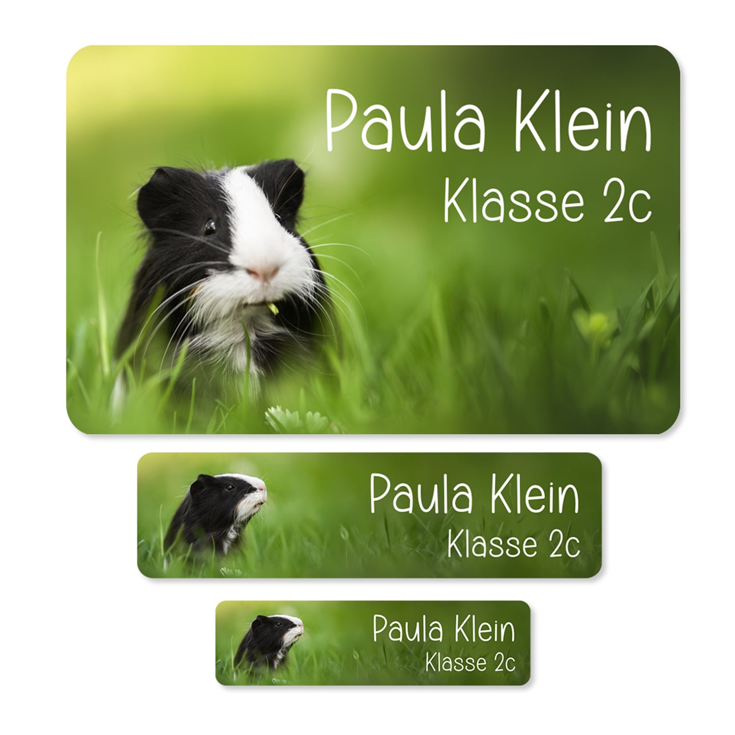 Namensaufkleber mit Meerschweinchen Motiv & Wunschtext personalisiert | Geschenk zur Einschulung