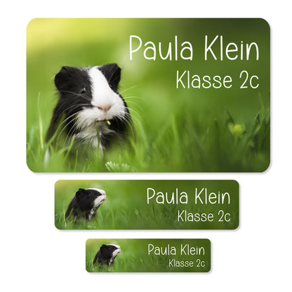 Namensaufkleber mit Meerschweinchen Motiv & Wunschtext personalisiert | Geschenk zur Einschulung
