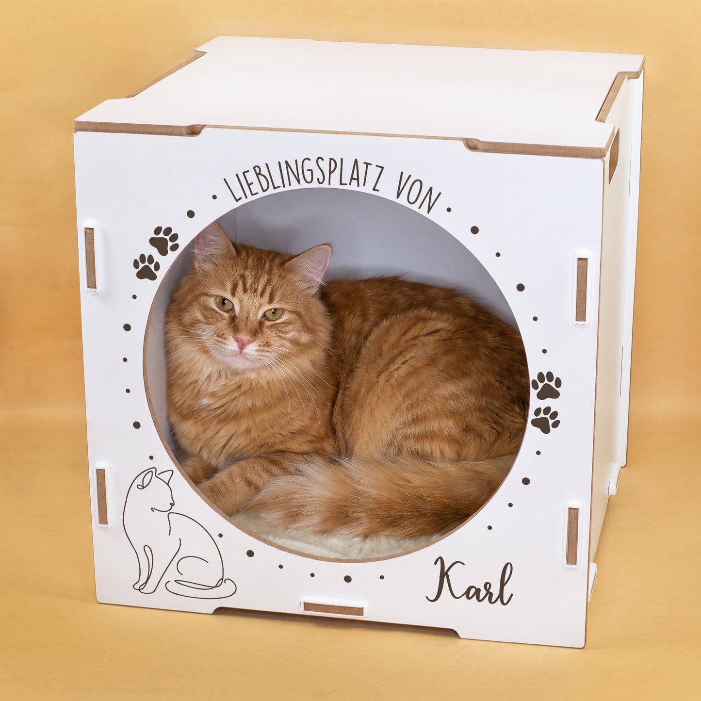 Rote Katze liegt in weißem personalisiertem Katzenhaus mit Name Karl
