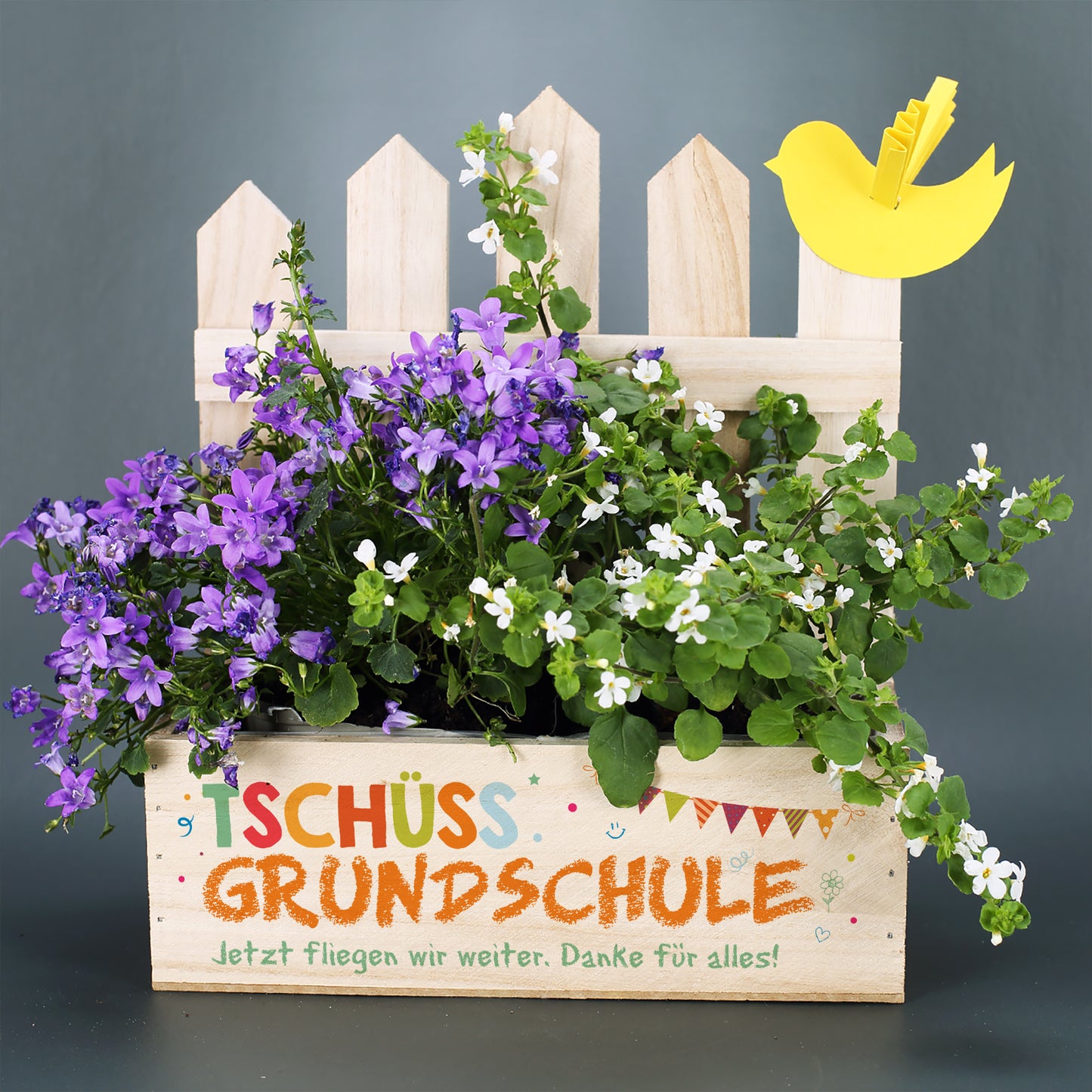 Tschüss Grundschule - Präsentkorb Pflanzkiste als Abschiedsgeschenk für Lehrer
