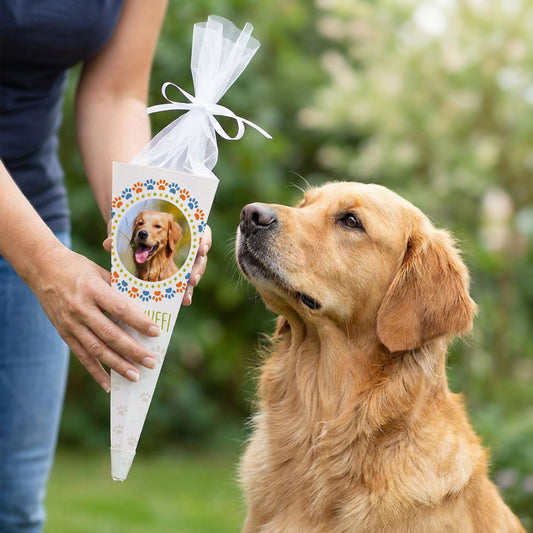Hundeschultüte mit Foto und Name als Geschenk zur Hundeschule neben Golden Retriever