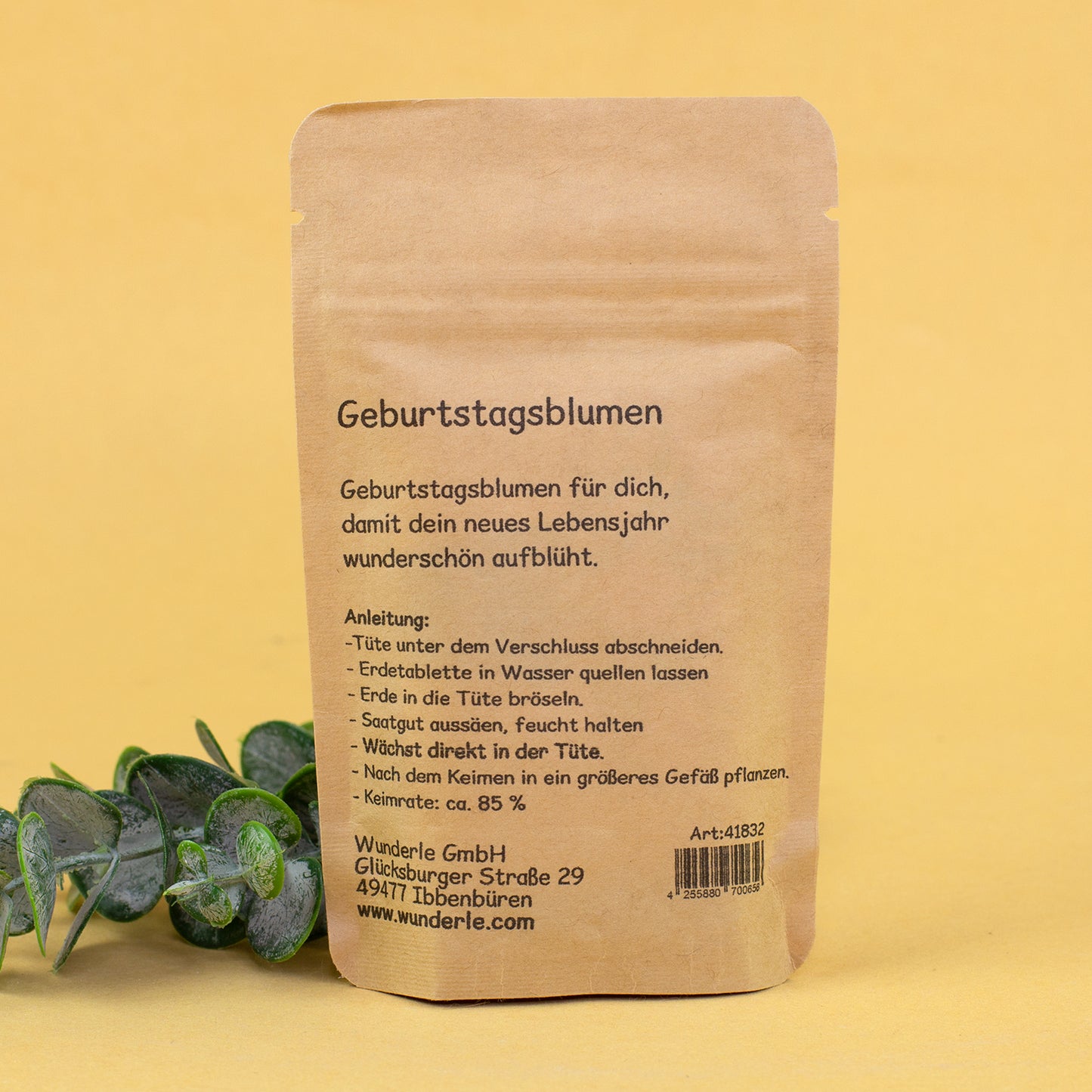 Rückseite vom Anzuchtset Geburtstagsblumen mit Anleitung, Herstellerangaben und Keimrate ca. 85 Prozent